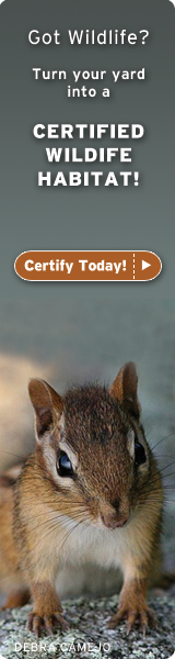 certify your yard today!